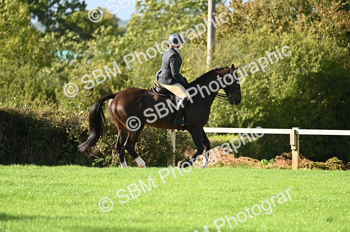 SBM_26432 - S6 - Novice & newcomer Ridden horse