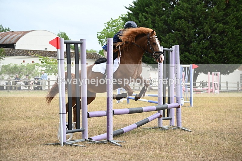 WJ6_0198 - Class 13 Novice Jumping 60cm