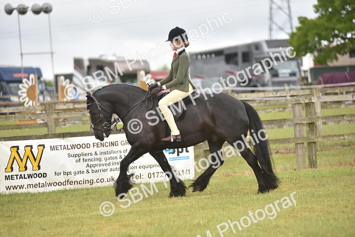 SBM_12038 - Class 110-112 - LIHS BSPS Performance Pones