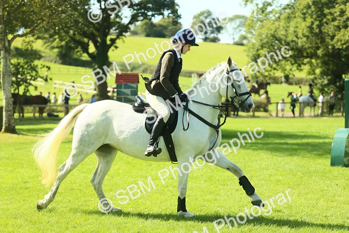 SBM_39273 - S29 - Novice & Newcomers Working Hunter Pony
