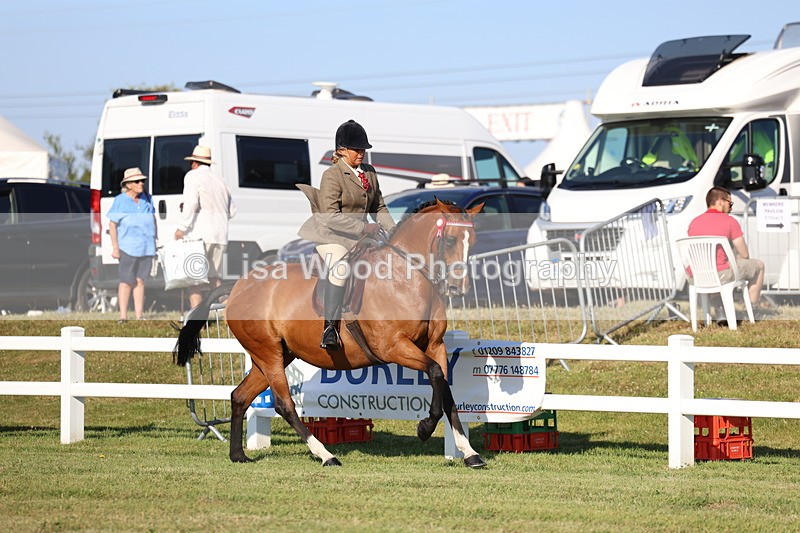 3E7A5043 - Class 1: Rising Star Small Hack/Riding Horses