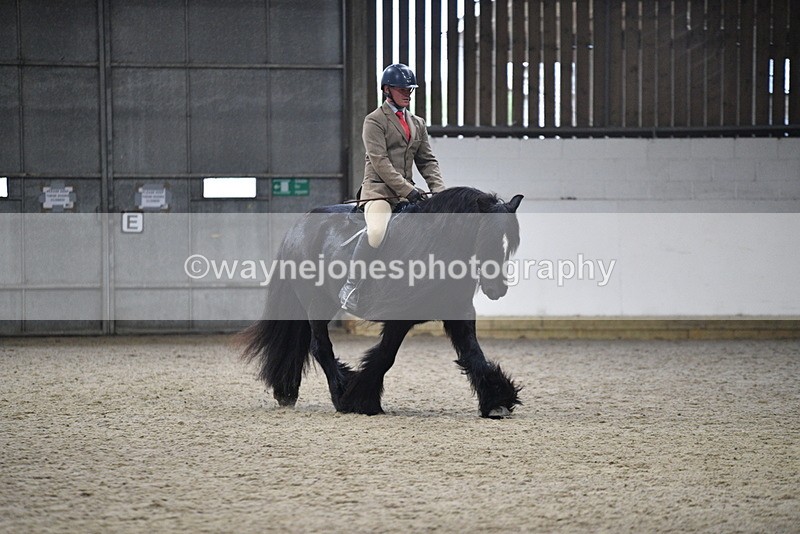 WJ5_8647 - Class 14 Novice Ridden/Rider