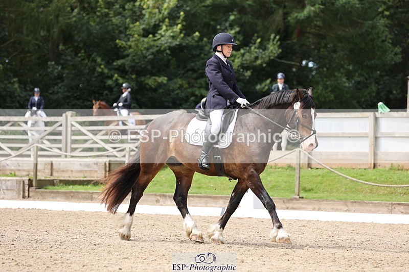 240721-115458-08464 - 176-Amanda_Williams-Llanarth_Westminster