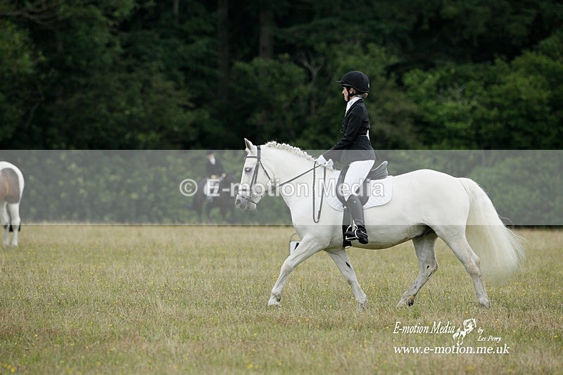 BVRC 030721 140 - Bourne Valley Riding Club Dressage 03/07/21