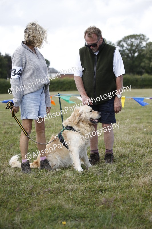 20250831-3626 - Dog Show