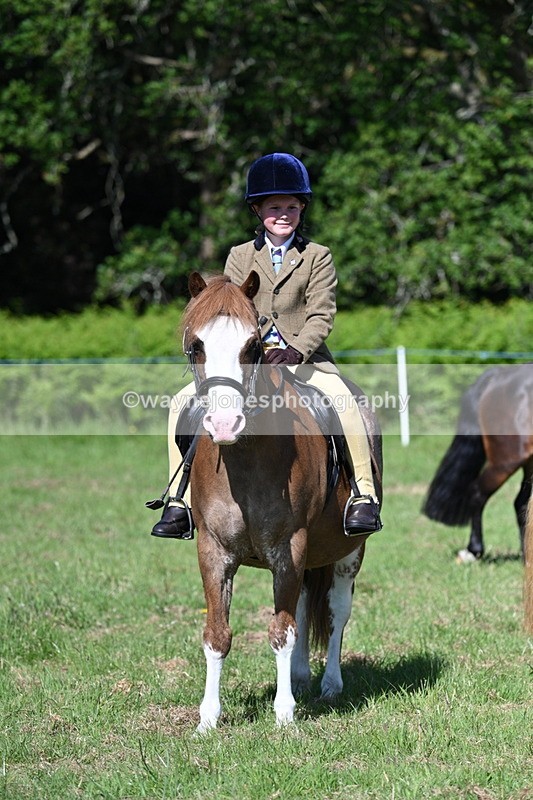 WJ7_0376 - Class 8 First Rally Pony
