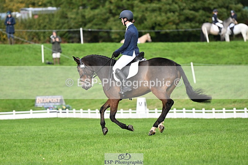 251023A-110016-02672 - G-511-Clara.Tuke