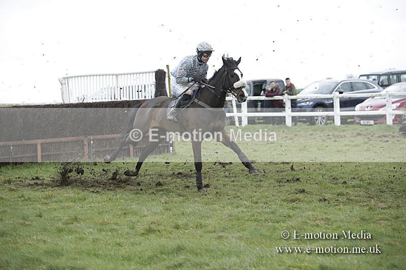 PtP 150320 0496 - New Forest Point-to-Point Larkhill 15/03/20