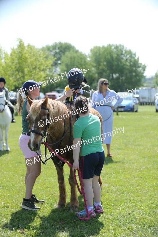 20250427-2765 - Class 6 - Pony Judge Would Most Like To Take Home