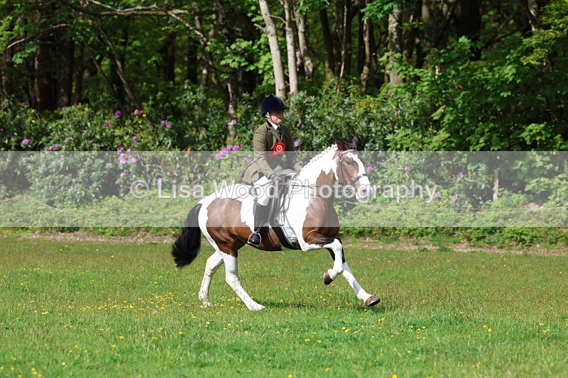 3E7A2652 - Working Hunter Championship