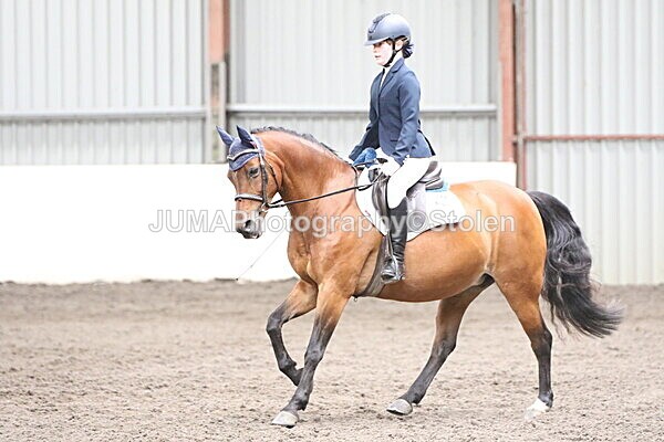 SIAL4976 - CAbin Dressage 5th july 2025