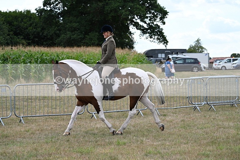 WJ7_5002 - Class 12 Ridden Cob