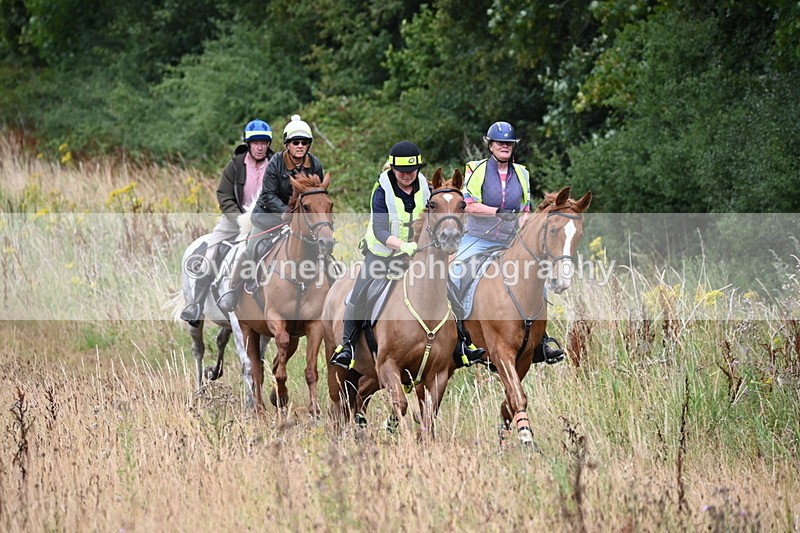 WJ6_2320 - Group 7