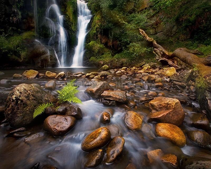Posforth Gill - 2007
