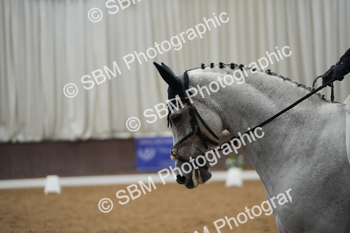 SBM_004589 - Class 11 - Elementary 2 Champs