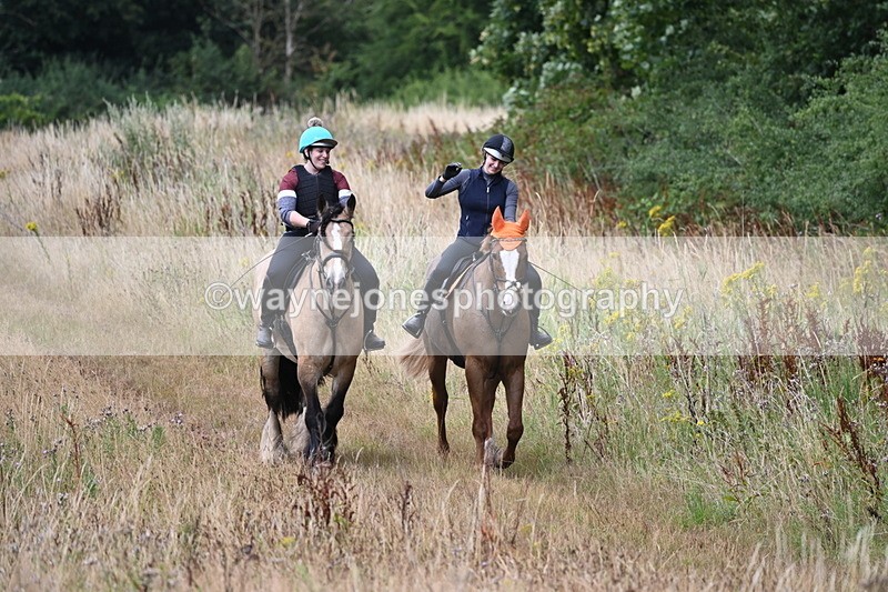 WJ6_2451 - Group 7