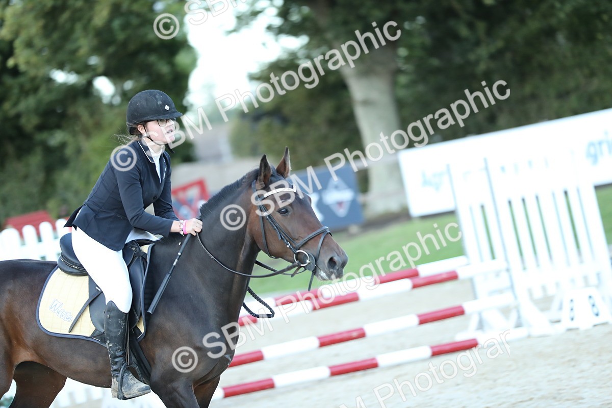 SBM_53655 - Supreme Championship 65cm 70cm