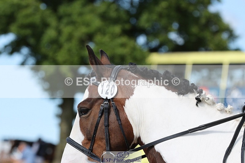 240622A-172249-15110 - Cls 21 Quest Novice 27