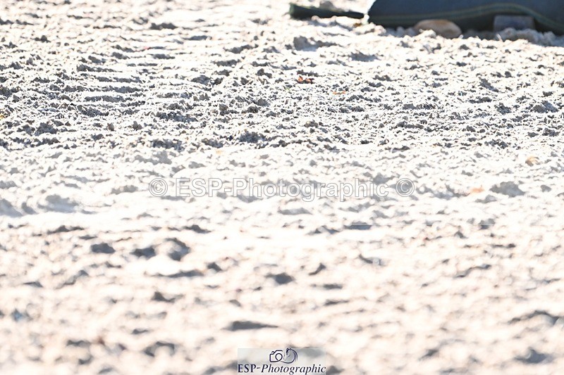 231110-100735-01774 - Cls 1 Prelim 15Q