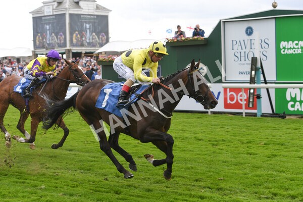yr11062022r6-26 - Race 6 4.15pm Reg Griffin Appreciation EBFstallions.com Maiden Stakes
