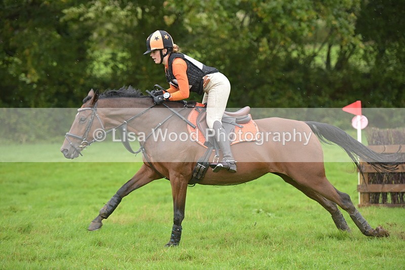 RAY_0517 - Class 4: 80cm: Double of Brushes