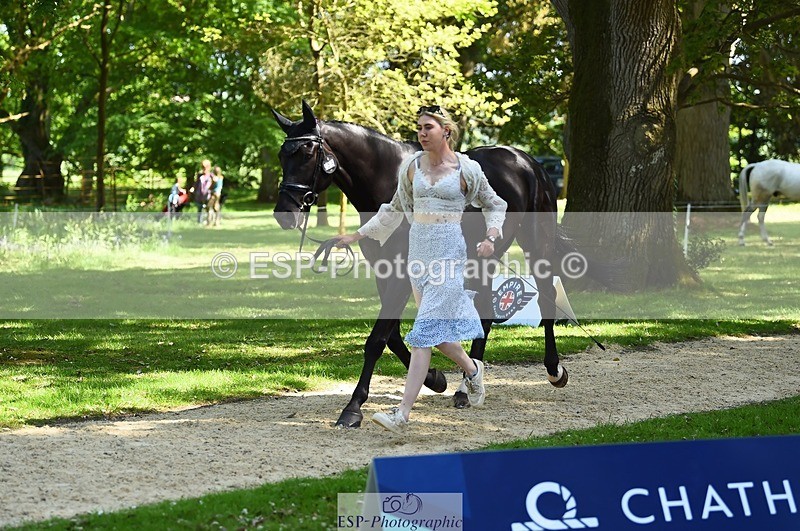 230524-153312-00348 - 358-EQUADOR_MW-Toots_Bartlett-WEDTrotUp+DR