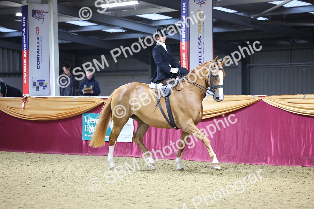 0B8A4235 - Class L Side Saddle Champ