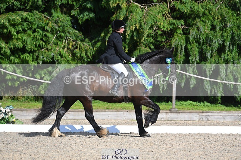 230811-162609-02676 - Prelim Bronze Presentations