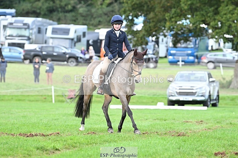 231020-161244-11626 - 558-BATHLEYHILLS.GOLDEN.SPRAY-Cleo.Whitbread-DR