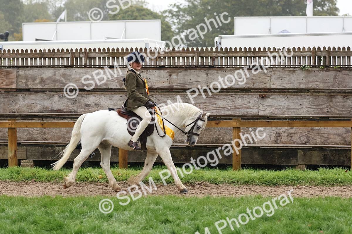 SBM_73109 - Ridden Pony Supreme Championship