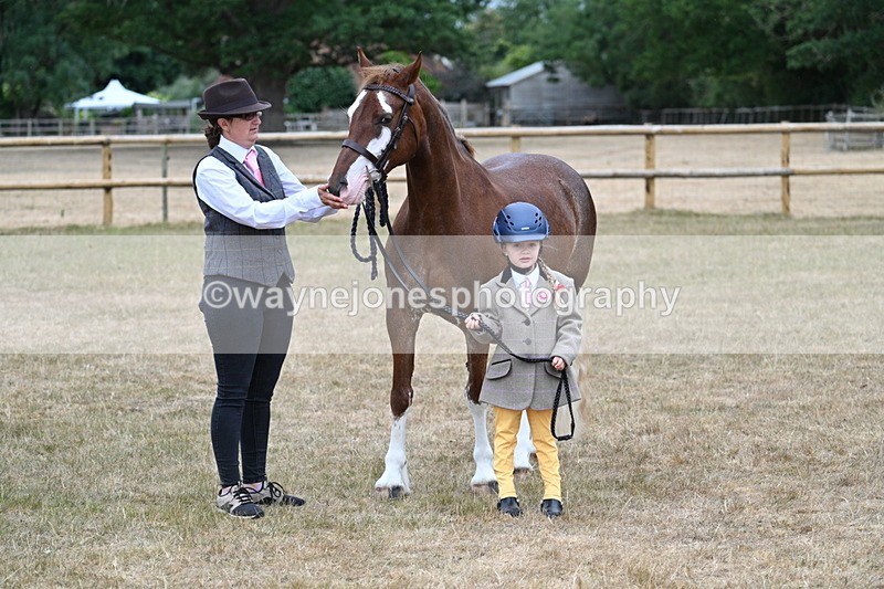 WJ7_9348 - Prettiest Mare Champs