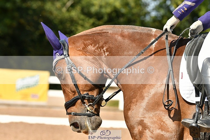 250817-150912-10421 - 182-Natalie.RosewarnePenpont.Fancy.That