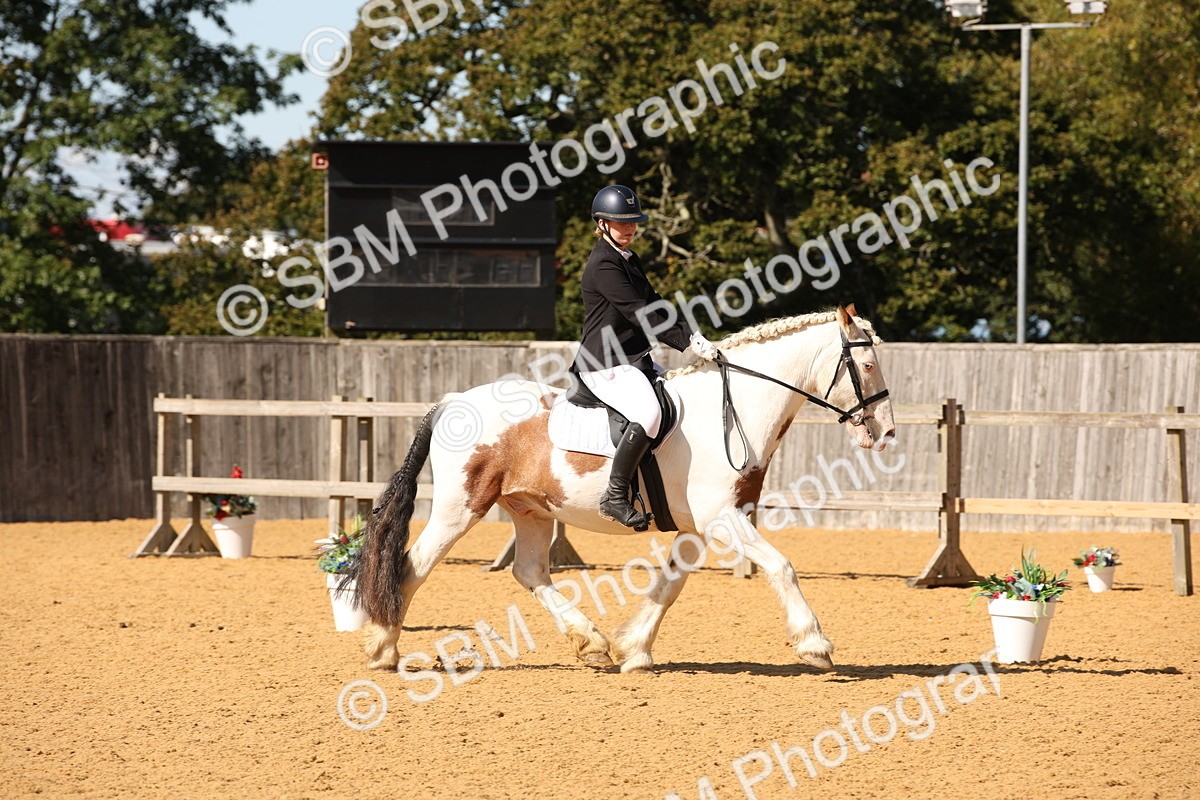 SBM_24184 - D5 - Small Tour Championship - Intro C