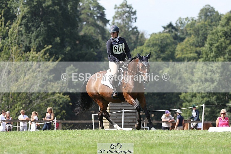 250823A-140351-31457 - Arena D