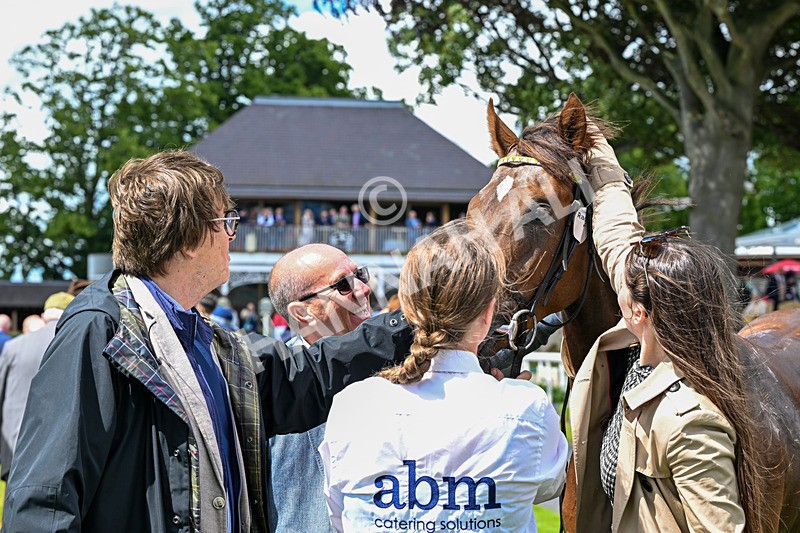 120626-Race 2-Everatease-7040 - Race 2 14.25pm Constant Security Keeping York Racegoers Safe Rous Selling Stakes