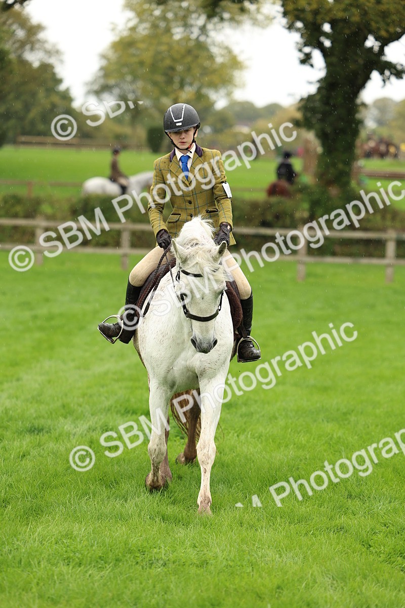 1I0A1456 - S32 - Mountain & Moorland Working Hunter Pony
