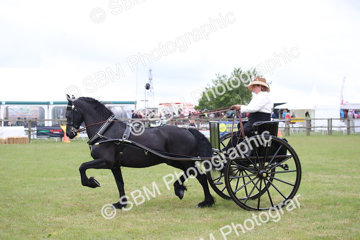 SBM_05752 - Class 12-15 - HOYS Private Driving