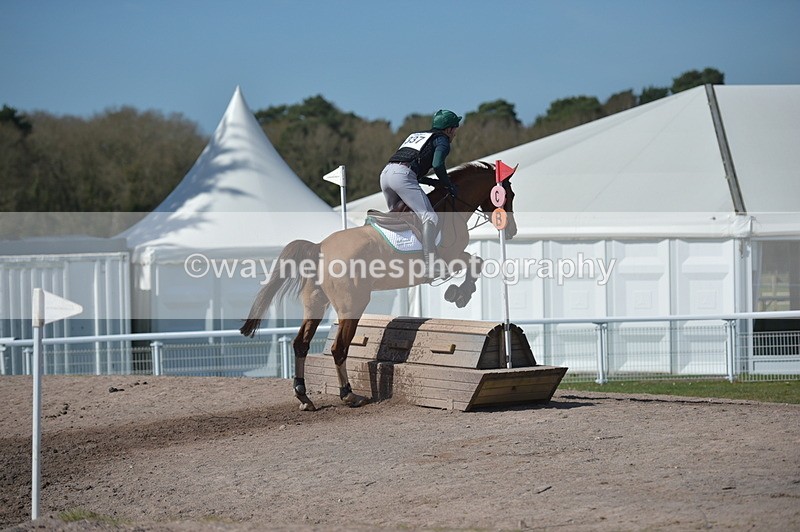 NGP_8389 - XC Time 13:35 to 13:40