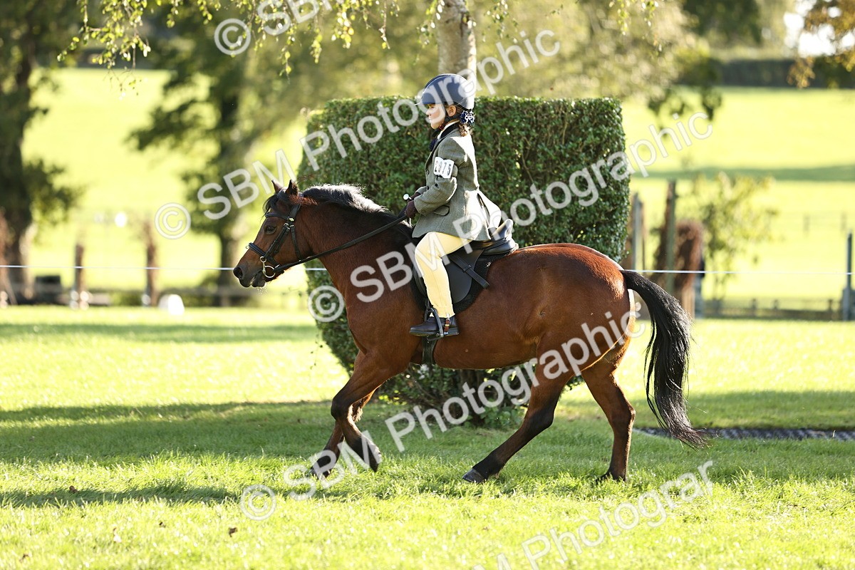 SBM_29433 - S7 - Novice & Newcomers Ridden Pony