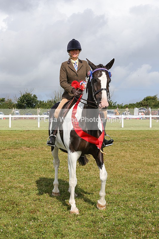 1X9A3517 - Skewbald and Piebald Ridden Championship
