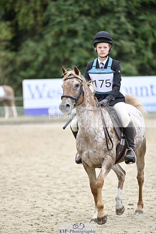 250820A-113357-03704 - Round 1, 11am to End