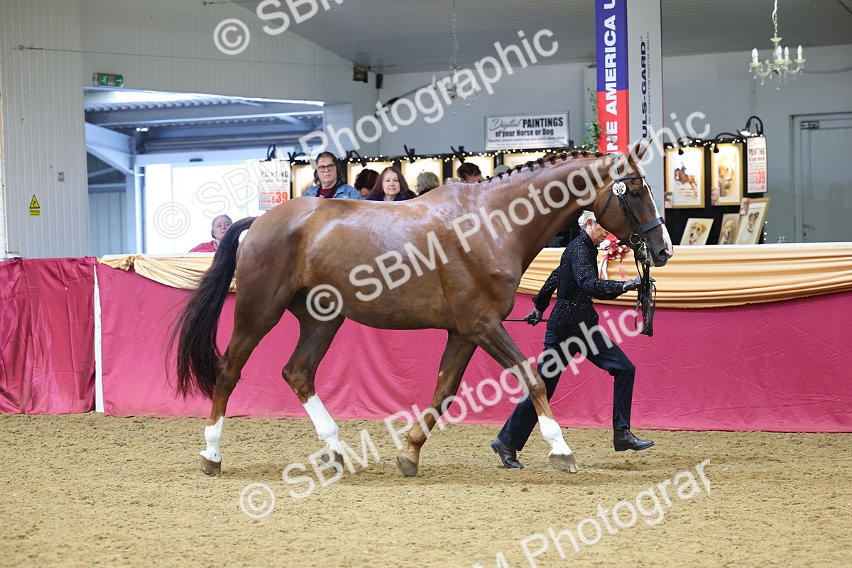 SBM_22644 - Class 903 - Supreme Final - IH Pre Vet