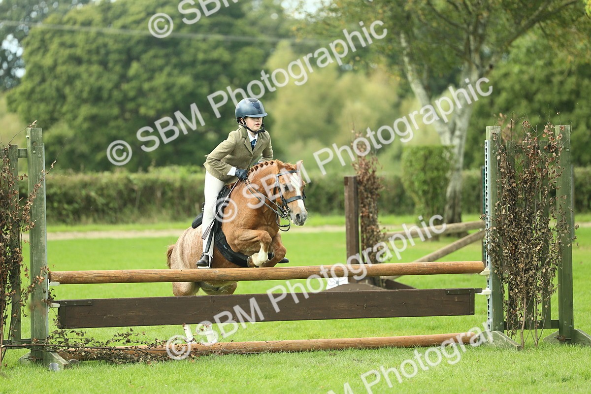 SBM_44683 - S31 - Working Hunter Pony
