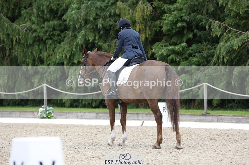 230812-135043-04327 - Cls 5 Novice Bronze 13.40 to 14.45 break