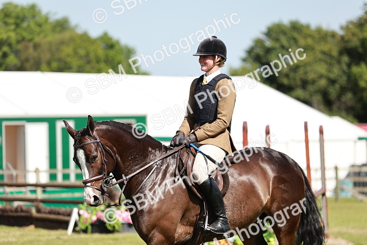 SBM_18388 - Class 112-113 - BSPS LIHS Working Sports Pony