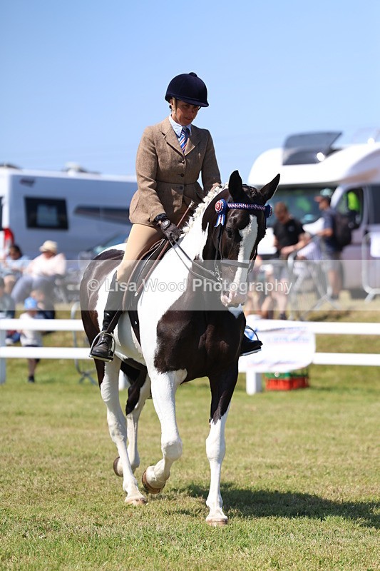 3E7A7864 - Class 7: Open Riding Horse