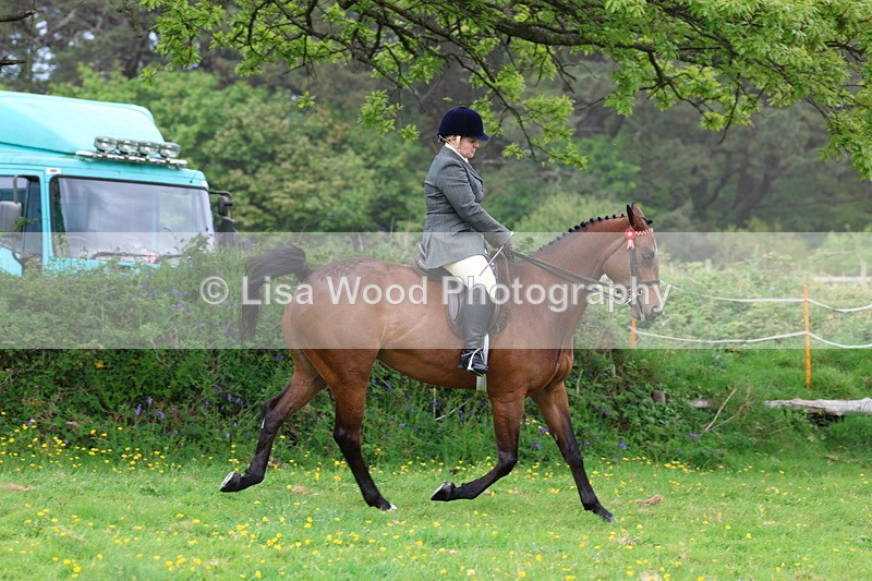 3E7A1727 - Class 9: Riding Club Horse/Pony