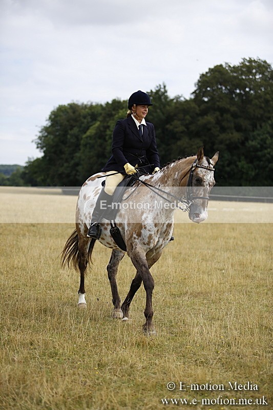 _C7A9526 - BVRC Show 2018 Ring 1