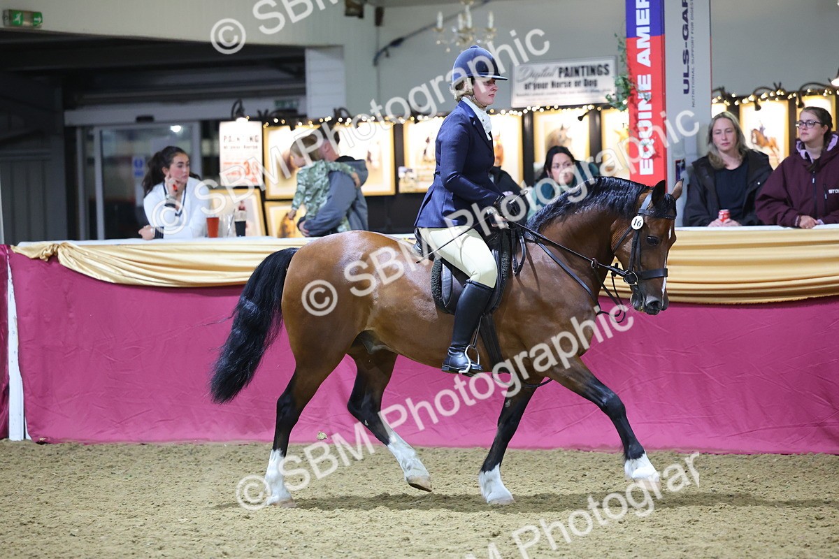 0B8A4692 - Class R Working Veteran Champ