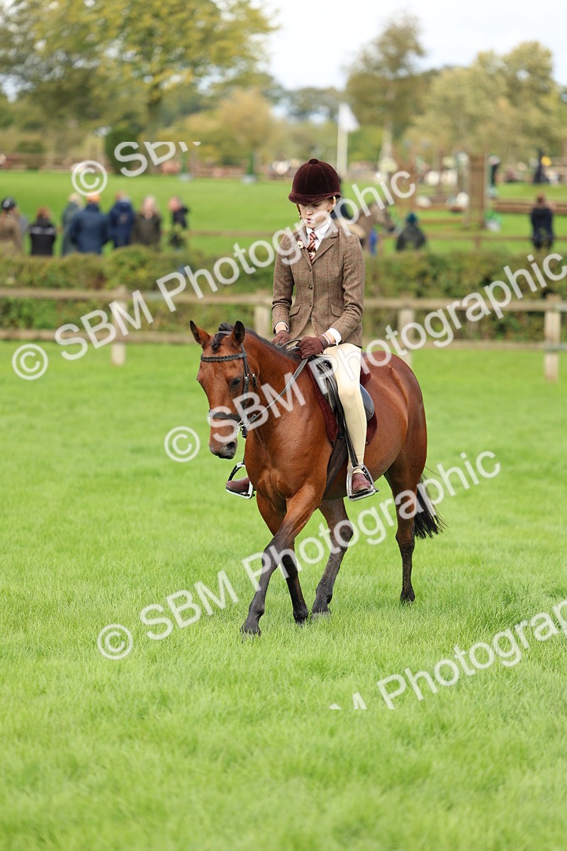 SBM_45396 - S33 - Working Hunter Pony